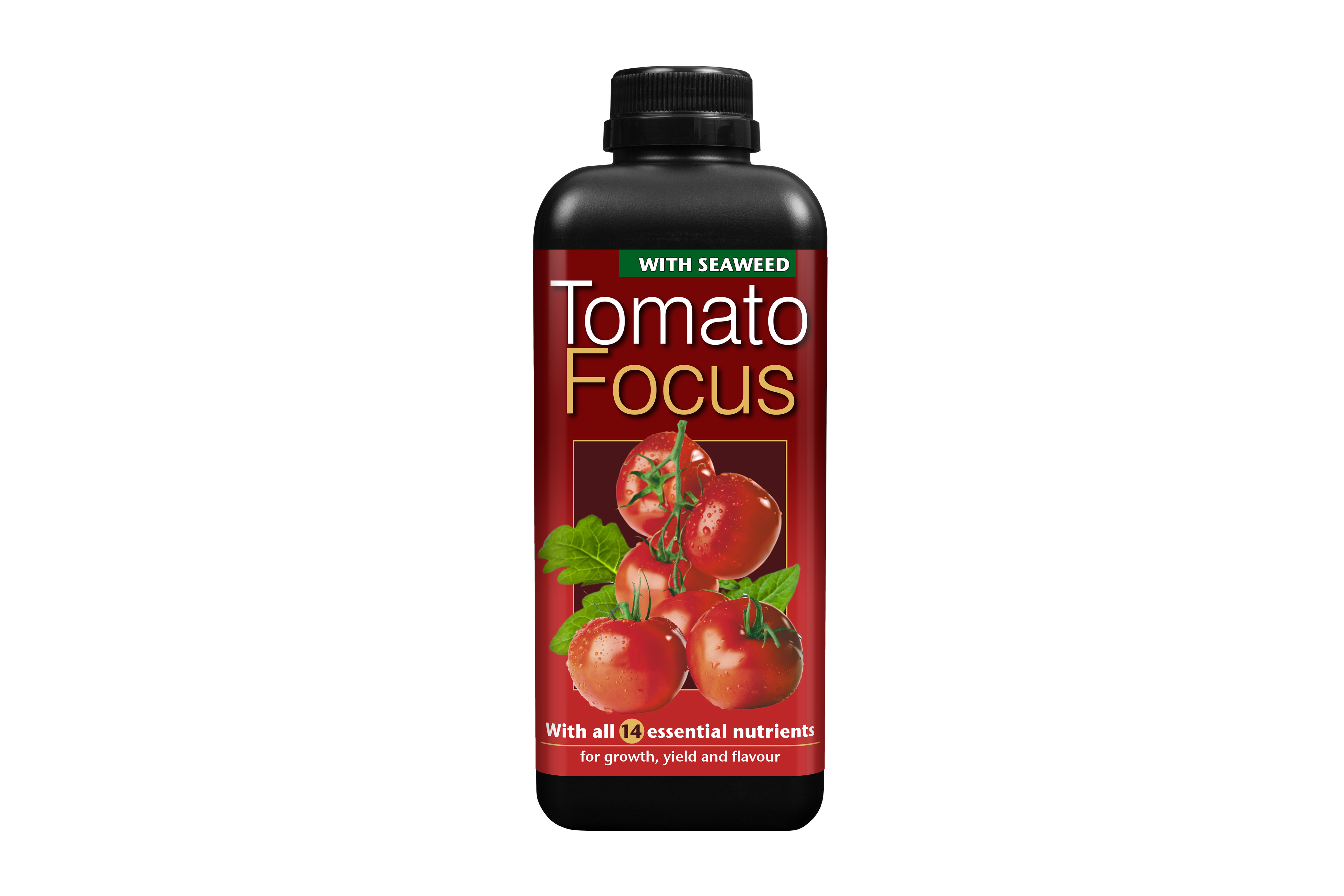 Tomato Focus 1л